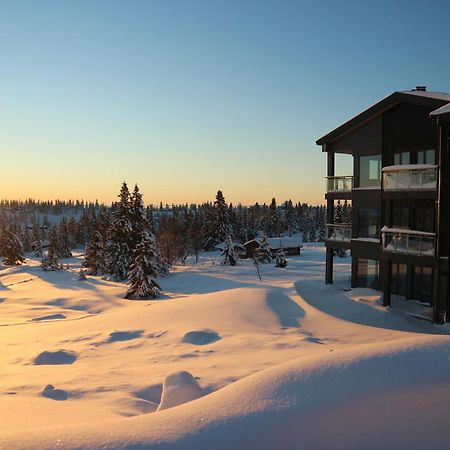 Beautiful Penthouse With Panoramic View At Sjusjoen Leilighet Eksteriør bilde