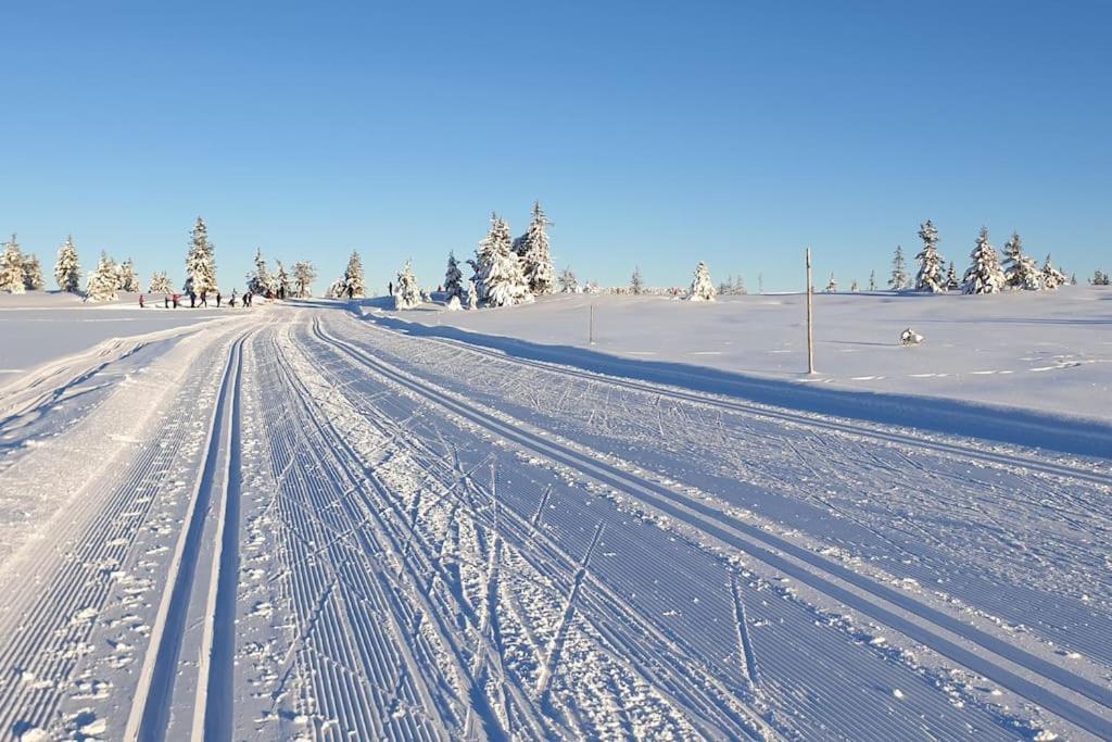 Beautiful Penthouse With Panoramic View At Sjusjoen Leilighet Eksteriør bilde